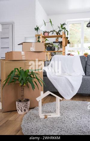 Im Zimmer des neuen Hauses befinden sich Kisten mit Sachen zum Umziehen und Haus Pflanzen. Einweihung, Familieneigentum, Frachttransport Stockfoto