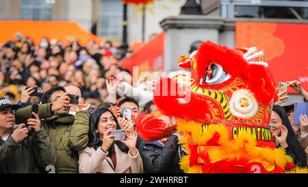 London, Großbritannien. Februar 2024. Die Zuschauer dürfen den Löwen klopfen. Festlichkeiten zum Chinesischen Neujahrsfest am Trafalgar Square. Auf dem Programm stehen ein Löwentanz der Chen Brothers (im Bild), wwo-Tanz in ihrem Löwenkostüm auf Stelzen, Aufführungen auf der Bühne sowie Stände und Aktivitäten auf dem Platz. 2024 ist das Jahr des Drachen im chinesischen Kalender. Die Londoner Festlichkeiten gehören zu den größten Festen zum Neujahrsfest außerhalb Chinas. Quelle: Imageplotter/Alamy Live News Stockfoto