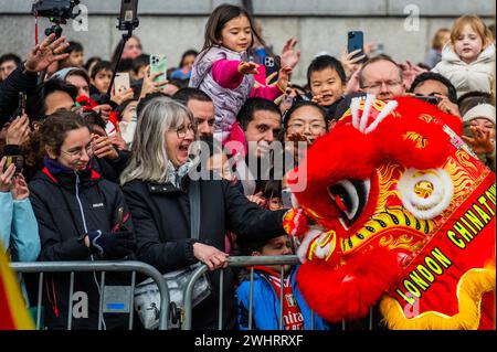 London, Großbritannien. Februar 2024. Löwentänzer führen ihren traditionellen akrobatischen Tanz vor einer großen Menschenmenge auf - das chinesische Neujahrsfest am Trafalgar Square, London. Sie hoffen, viel Glück für das Mondneujahr zu bringen. 2024 ist das Jahr des Drachen. Guy Bell/Alamy Live News Stockfoto