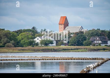 Auf dem Wattenmeer Stockfoto