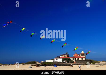 Drachenfliegen, Strand La Concha, El Cotillo, Fuerteventura, Kanarische Inseln, Spanien. Stockfoto