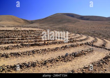 Wolf Patton's Labyrinth, in der Nähe von El Cotillo, Fuerteventura, Kanarischen Inseln, Spanien. Stockfoto