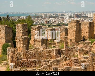 Tunis Stadt in tunesien Stockfoto