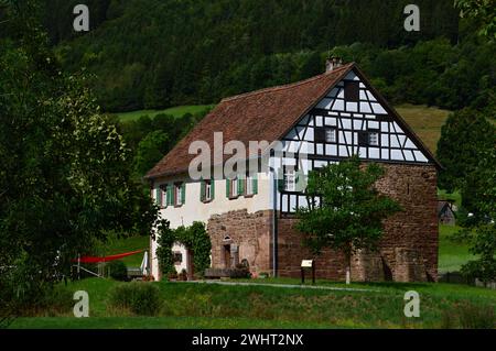 Historischer Bauernhof im Schwarzwald, Gutach, Baden - Württemberg Stockfoto