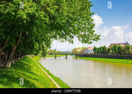 uschhorod, ukraine - 6. Mai 2017: Längste Lindenallee europas. Wunderschöne Stadtlandschaft der Innenstadt mit Fluss und Fußgängerbrücke in der Ferne Stockfoto