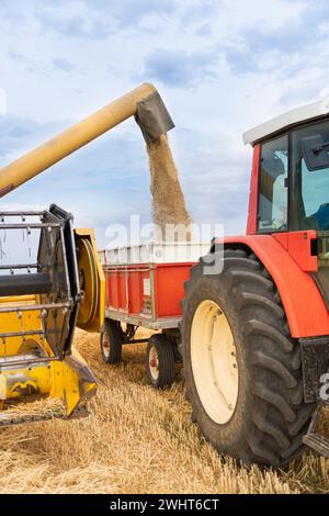 Landwirtschaftliche Maschinen im Vordergrund Arbeiten im Feld Stockfoto