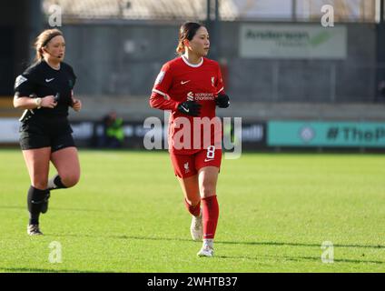 Princess Park Stadium, Dartford, Großbritannien. Februar 2024. Fuka Nagano (Liverpool 8) während des fünften Spiels zwischen London City Lionesses und Liverpool im Princess Park Stadium, Dartford, UK, am 11. Februar 2024 (Bettina Weissensteiner/SPP) Credit: SPP Sport Press Photo. /Alamy Live News Stockfoto