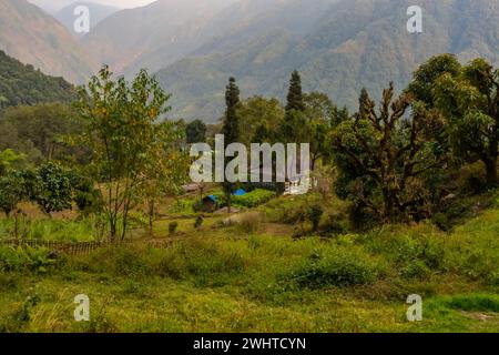 Ein typisches nepalesisches Dorf in Yamphudin, Khebang, Taplejung, Nepal Stockfoto