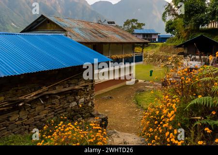 Ein typisches nepalesisches Dorf in Yamphudin, Khebang, Taplejung, Nepal Stockfoto