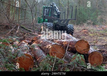 Forst Spediteur auf dem Holzfeld, im Vordergrund ein paar gefällte Bäume Stockfoto