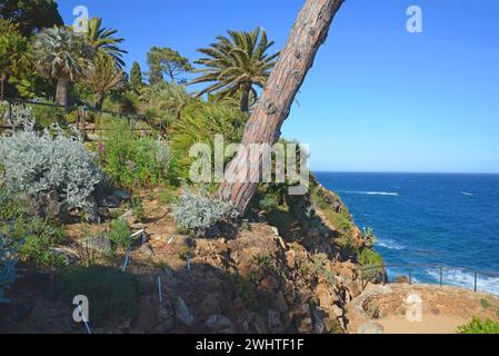 Marimurtra, Botanischer Garten, Costa Brava, Spanien Stockfoto