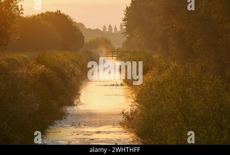 Sonnenaufgang über dem alten Glastonbury Canal, der an der Ham Wall auf den Somerset Levels UK vorbeiführt Stockfoto