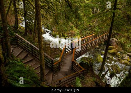 WA025053-00...WASHINGTON - Wanderer über eine robuste Brücke auf dem Woody Trail im Wallace Falls State Park. Stockfoto