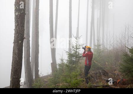 WA25067-00...WASHINGTON - Tom Kirkendall fotografiert an einem nebeligen Tag in einem neu bepflanzten Lichtschlitz auf DNR Land oberhalb des Wallace Falls State Park. Stockfoto