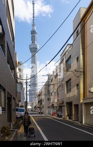 Tokio, Japan. Januar 2024. Häuser im Sumida-Viertel mit dem Tokyo Skytree Tower im Hintergrund Stockfoto