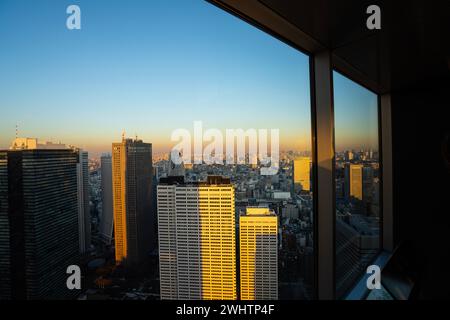 Tokio, Japan. Januar 2024. Blick auf das Panorama vom Tokyo Metropolitan Government Building North Observatory im Stadtzentrum Stockfoto