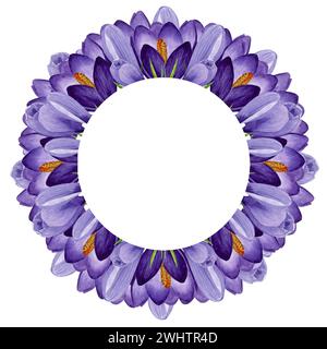 Lila Krokusse, runde Rahmen mit Frühlingsblumen. Handgemalte Aquarellblume Illustration auf weißem Hintergrund Designelement für Etikett, Logo, Verpackung, Stockfoto