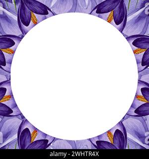 Lila Krokusse, runde Rahmen mit Frühlingsblumen. Handgemalte Aquarellblume Illustration auf weißem Hintergrund Designelement für Etikett, Logo, Verpackung, Stockfoto