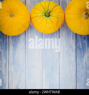 Orangefarbene Kürbisse auf blauem hölzernem Hintergrund Stockfoto