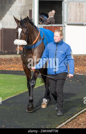 Zweites Rennen in Wincanton, Samstag, 19. Februar 2022, Steeple Chase Stockfoto