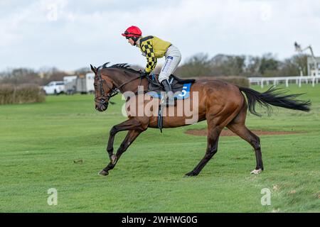 Zweites Rennen in Wincanton, Samstag, 19. Februar 2022, Steeple Chase Stockfoto