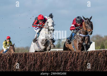 Zweites Rennen in Wincanton, Samstag, 19. Februar 2022, Steeple Chase Stockfoto