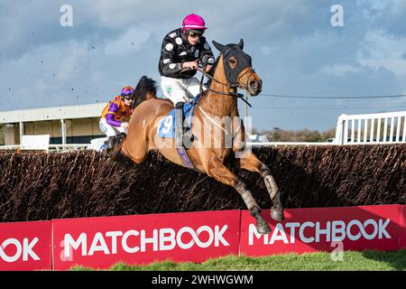 3. Rennen in Wincanton 19. Februar 2022 - Turmjagd Stockfoto