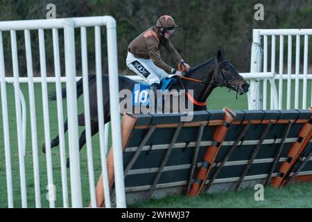 Siebtes Rennen in Wincanton, 19. Februar 2022 Stockfoto