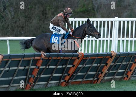 Siebtes Rennen in Wincanton, 19. Februar 2022 Stockfoto