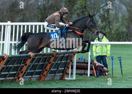 Siebtes Rennen in Wincanton, 19. Februar 2022 Stockfoto