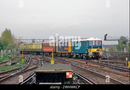 Ein Paar Elektro-Diesellokomotiven der Baureihe 73 mit den Nummern 73136 (E9043) und 73204, die bei Clapham Junction auf einer Eisenbahnreise für Enthusiasten arbeiten. Stockfoto