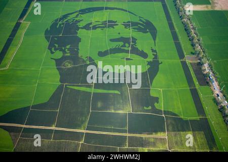 Blick auf das Porträt von Scheich Mujibur Rahman, der Vater der Nation Bangabandhu, Blick auf ein großes Mosaik aus violettem Reis auf dem Feld in Bogra, Bangladesch. Stockfoto