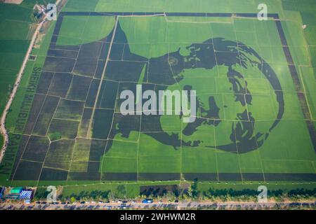 Blick auf das Porträt von Scheich Mujibur Rahman, der Vater der Nation Bangabandhu, Blick auf ein großes Mosaik aus violettem Reis auf dem Feld in Bogra, Bangladesch. Stockfoto