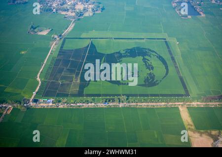 Blick auf das Porträt von Scheich Mujibur Rahman, der Vater der Nation Bangabandhu, Blick auf ein großes Mosaik aus violettem Reis auf dem Feld in Bogra, Bangladesch. Stockfoto