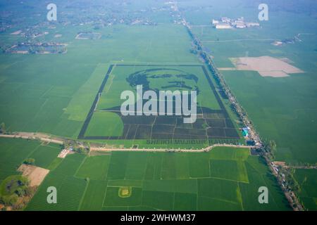 Blick auf das Porträt von Scheich Mujibur Rahman, der Vater der Nation Bangabandhu, Blick auf ein großes Mosaik aus violettem Reis auf dem Feld in Bogra, Bangladesch. Stockfoto