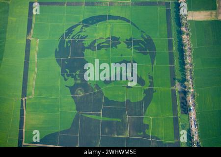 Blick auf das Porträt von Scheich Mujibur Rahman, der Vater der Nation Bangabandhu, Blick auf ein großes Mosaik aus violettem Reis auf dem Feld in Bogra, Bangladesch. Stockfoto