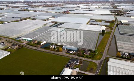 Luftaufnahme von Gewächshäusern, de Lier, Holland Stockfoto