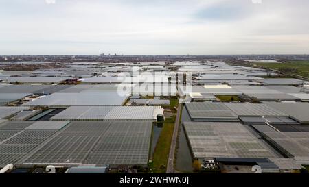 Luftaufnahme von Gewächshäusern, de Lier, Holland Stockfoto
