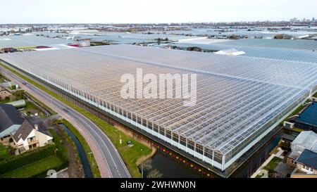 Luftaufnahme von Gewächshäusern, de Lier, Holland Stockfoto