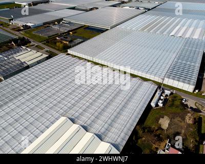 Luftaufnahme von Gewächshäusern, de Lier, Holland Stockfoto