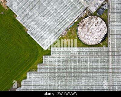 Luftaufnahme von Gewächshäusern, de Lier, Holland Stockfoto