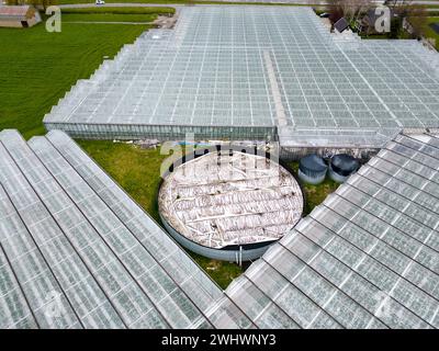 Luftaufnahme von Gewächshäusern, de Lier, Holland Stockfoto