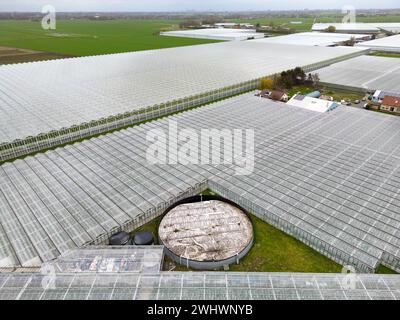 Luftaufnahme von Gewächshäusern, de Lier, Holland Stockfoto