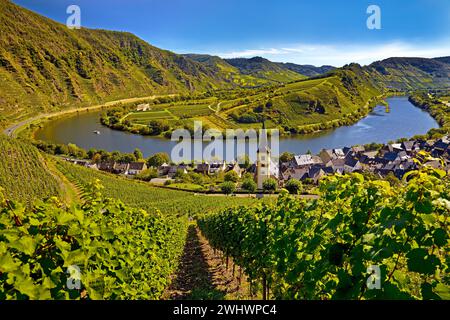 Moselschleife mit Weinbergen und St. Laurentius Kirche, Bremm, Rheinland-Pfalz, Deutschland Europa Stockfoto