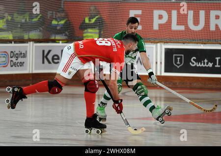 Lissabon, Portugal. Februar 2024. Lissabon, 02/11/2024 - SL Benfica war heute Nachmittag Gastgeber von Sporting CP im Pavilhão da Luz in einem Spiel, das für die National Roller Hockey Championship in der Saison 2023/24 zählte. Roberto Benedetto (Álvaro Isidoro/Global Imagens) Credit: Atlantico Press/Alamy Live News Stockfoto