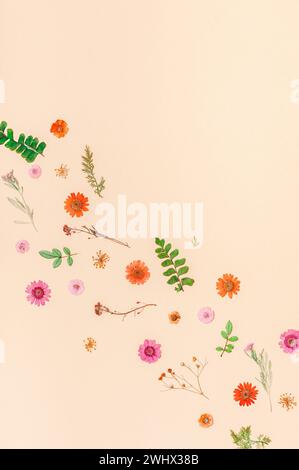 Rahmen aus getrockneten Blumen und Blättern Stockfoto