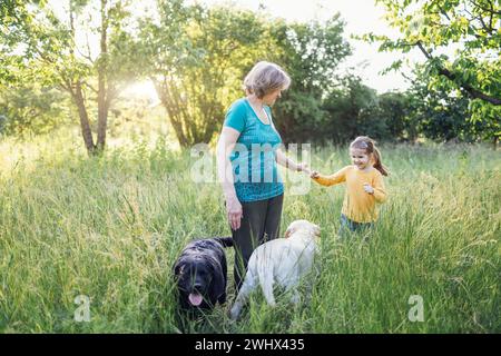 Grauhaarige Großmutter und süße kleine Enkelin gehen mit ihren Hunden zusammen im Park Stockfoto