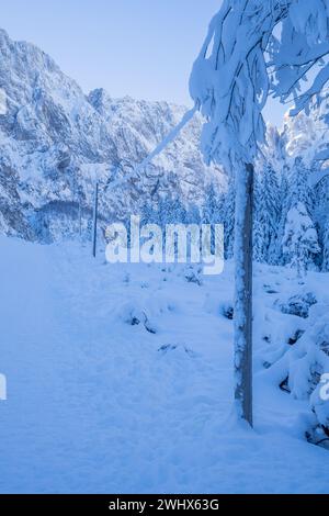 Elektromasten und schneebedeckte Drähte, die die Auswirkungen des Winters auf die elektrische Infrastruktur verdeutlichen. Berge im Hintergrund Stockfoto