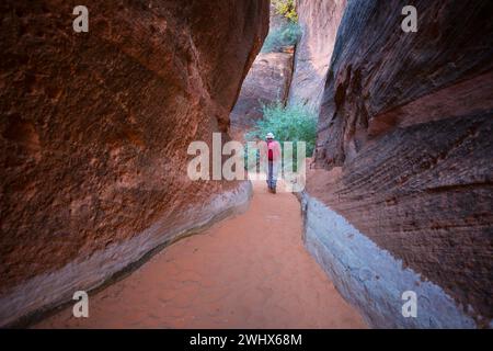 Slot Canyons sind ein typisches Landschaftsmerkmal im Südwesten der USA, Utah Stockfoto