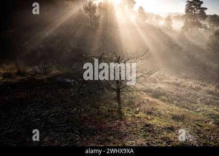 Sonnenschein über den Hügeln im Nebel Stockfoto